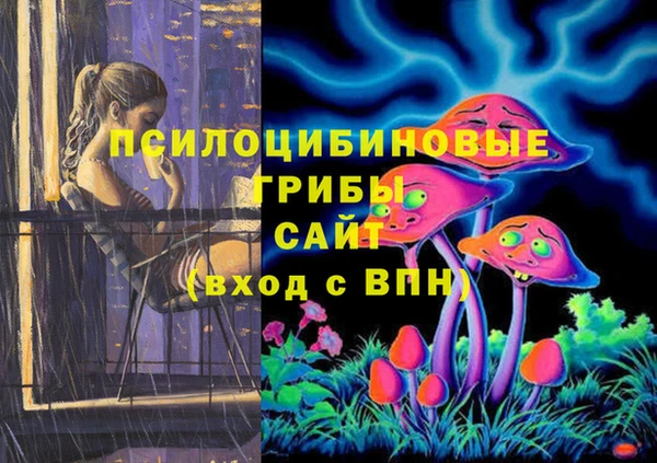 гашик Михайловск