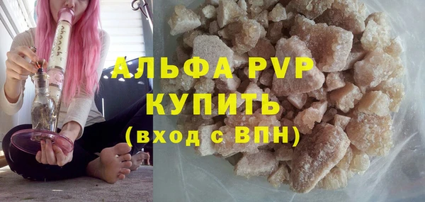 гашик Михайловск