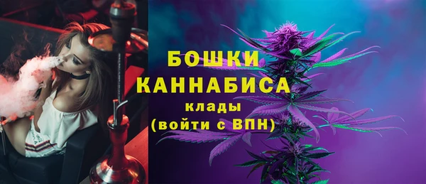 гашик Михайловск